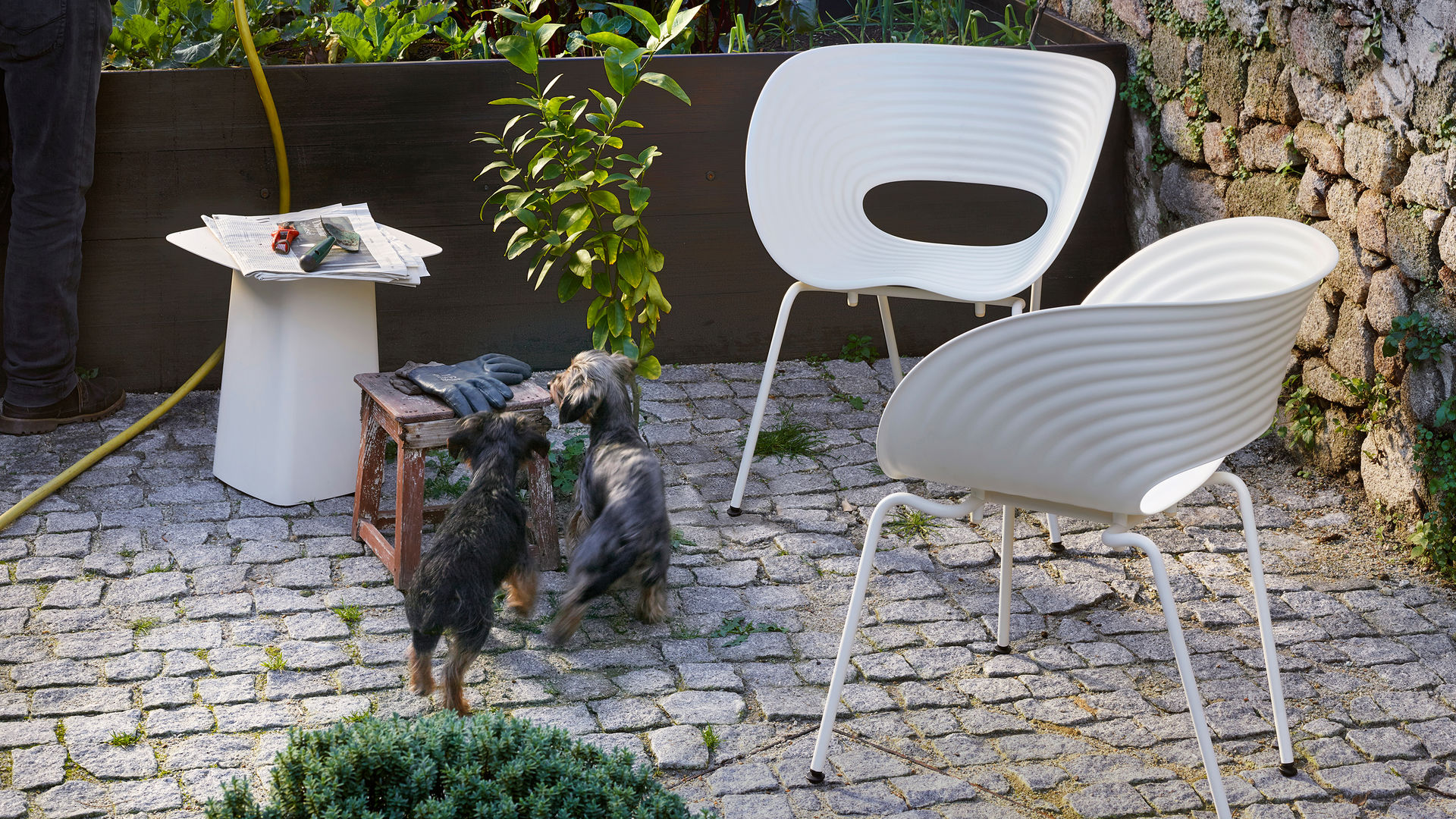 创意家具 - 坐具|休闲椅|办公家具|设计师家具|汤姆维特休闲椅